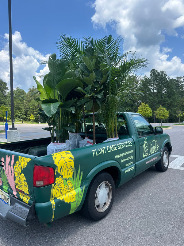 Truck after mural